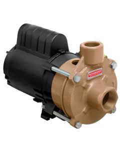 BOMBA SCHNEIDER BC-91 T ROTOR BRONZE 0,75 CV 220V TRIF