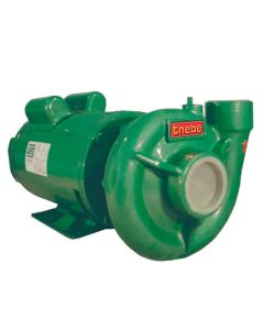 BOMBA THEBE THB-13 MOTOR WEG 0,75 CV 110/220V MONOF
