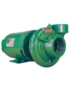 BOMBA THEBE THL-13 MOTOR WEG 1,50 CV 110/220V MONOF