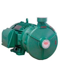 BOMBA THEBE RL-25 R ROTOR 260 MM MOTOR WEG 40,0 CV 220/380V TRIF