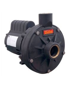 BOMBA THEBE TH-16 P ROTOR 128 MM 1,00 CV 110/220V MONOF