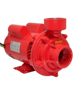 BOMBA THEBE THI-13 MOTOR WEG 1,50 CV 110/220V MONOF