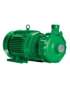 BOMBA THEBE TH 32-200 ROSCA 20,0 CV 220/380V TRIF