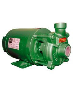 BOMBA THEBE TH-11 MOTOR WEG 1,00 CV 220/380V TRIF