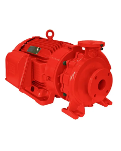 BOMBA SCHNEIDER BPI 080-050-125 F 7,50 CV 220/380/440/760V TRIF