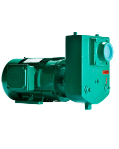 BOMBA THEBE AEX-1 MOTOR WEG 3,00 CV 220/380V TRIF
