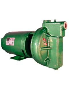 BOMBA THEBE RE-16 AV AL MOTOR WEG 2,00 CV 110/220V MONOF